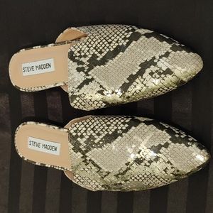 Steve Madden Shoes